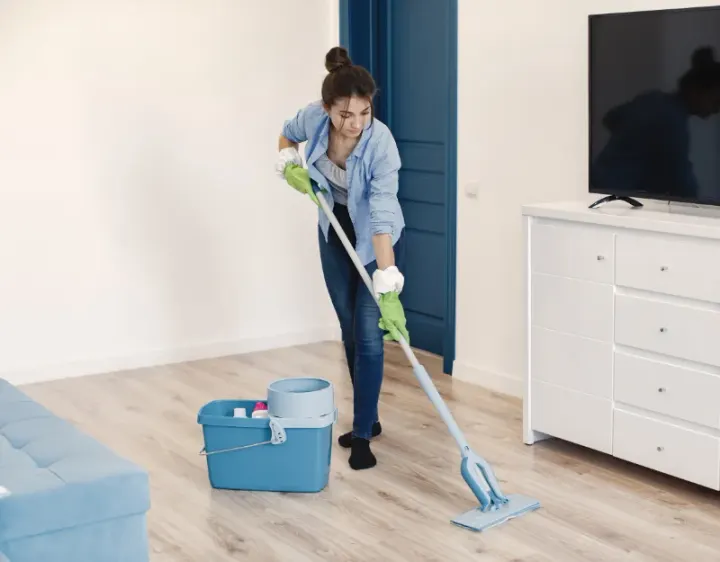 Femme de ménage Campuac
